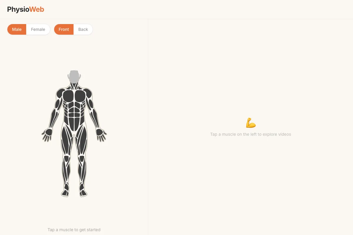 PhysioWeb's main screen: Male/Female and Front/Back toggles above a full-body anatomical diagram with individual muscles outlined and tappable, beside an empty right-hand panel reading 'Tap a muscle on the left to explore videos'.